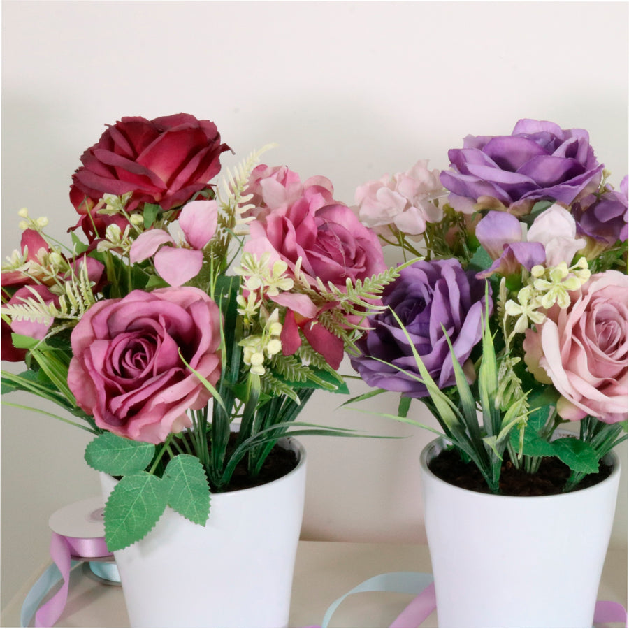 Lara Potted Arrangement Mixed Box (qty6)