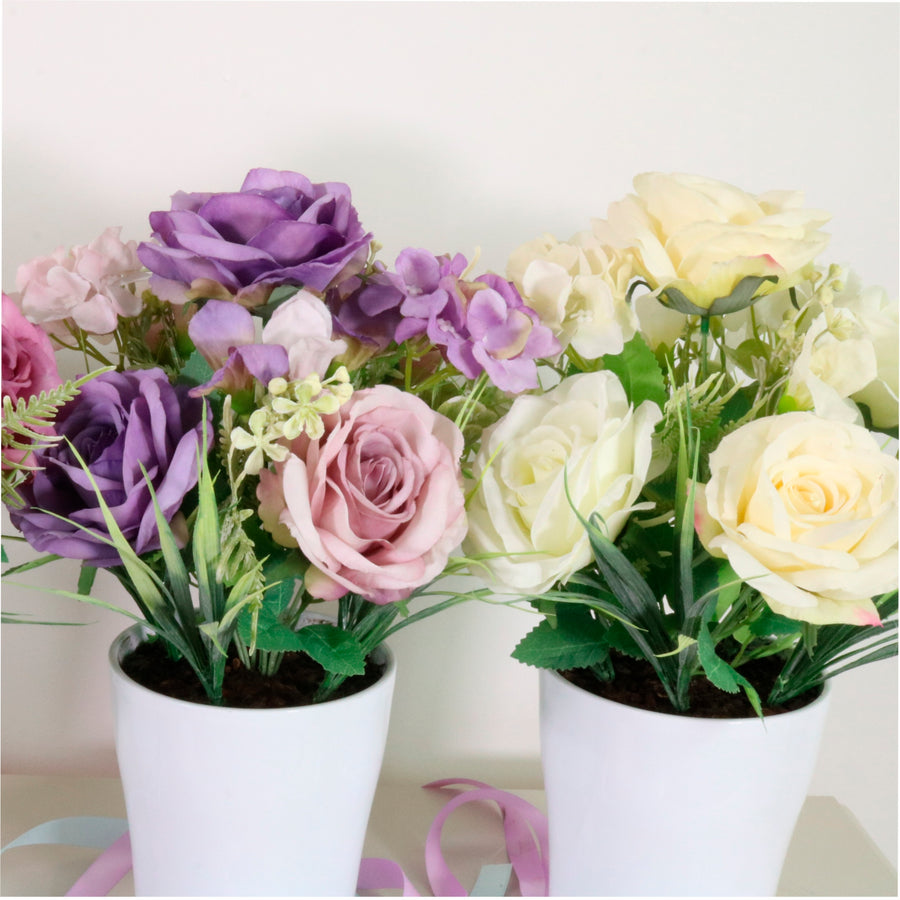 Lara Potted Arrangement Mixed Box (qty6)