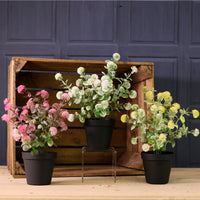 Potted Globe Ball Mixed Box Arrangement (Qty 9)