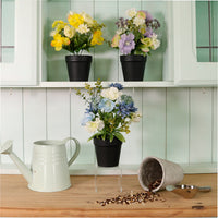 Potted Nova Arrangements. Mixed Box 3 colours (Qty 12)