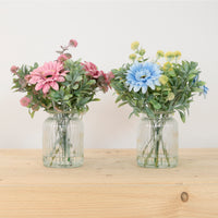 Gerbera Glow Arrangement Mixed Box. 2 Colours (Qty 6)