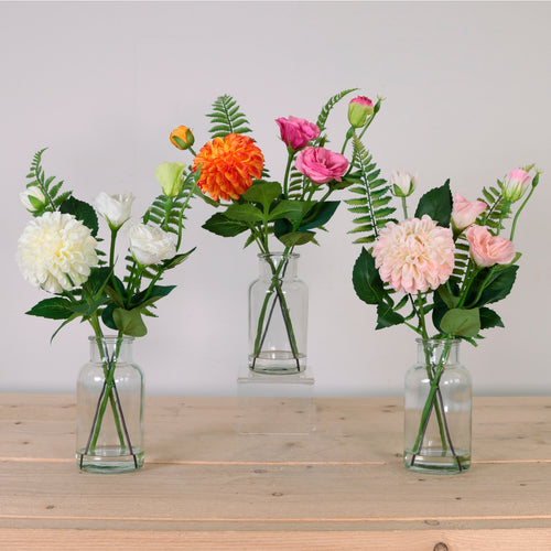 Dahlia Garden Arrangement Mixed (Quantity 9/ 3 Colours)