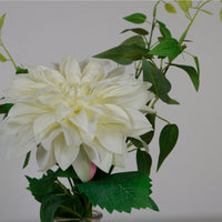 Eternal Dahlia Mixed Arrangement (Qauntity 9/3 Colours)