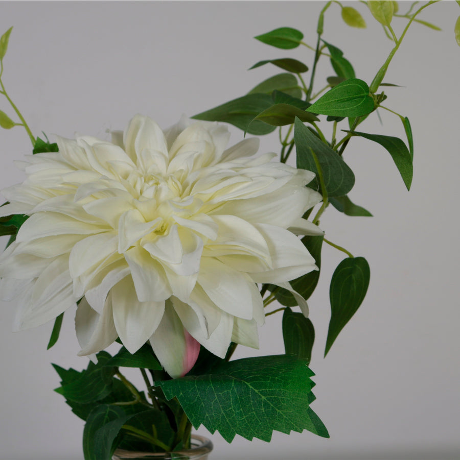 Eternal Dahlia Mixed Arrangement (Qauntity 9/3 Colours)