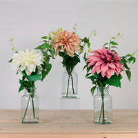 Eternal Dahlia Mixed Arrangement (Qauntity 9/3 Colours)