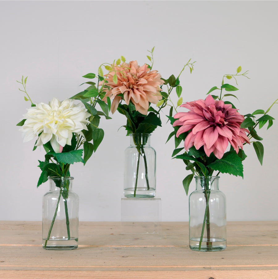 Eternal Dahlia Mixed Arrangement (Qauntity 9/3 Colours)