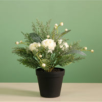 Xmas Potted Arr No.8