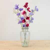 Summer Sweet Pea Arrangement
