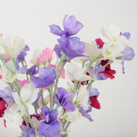 Sweet Pea Serenade Arrangement