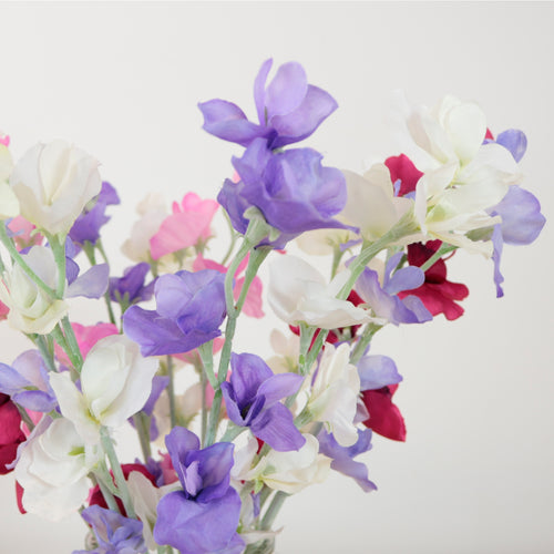 Sweet Pea Serenade Arrangement