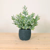 Flocked Leaf In Pot
