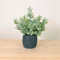 Flocked Leaf In Pot