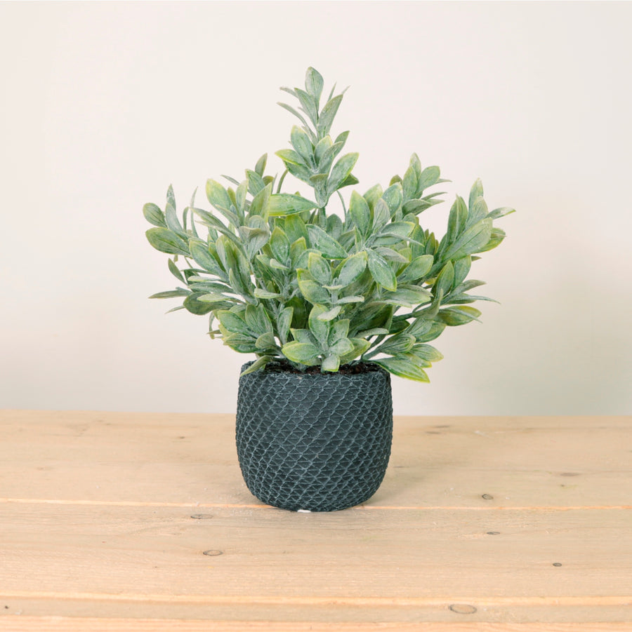 Flocked Leaf In Pot