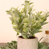 Flocked Leaf In Pot