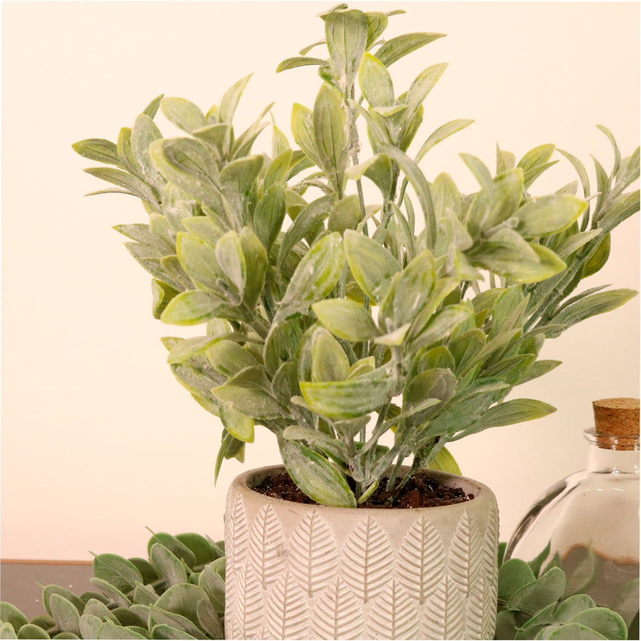 Flocked Leaf In Pot
