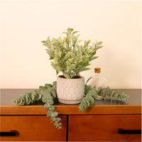 Flocked Leaf In Pot