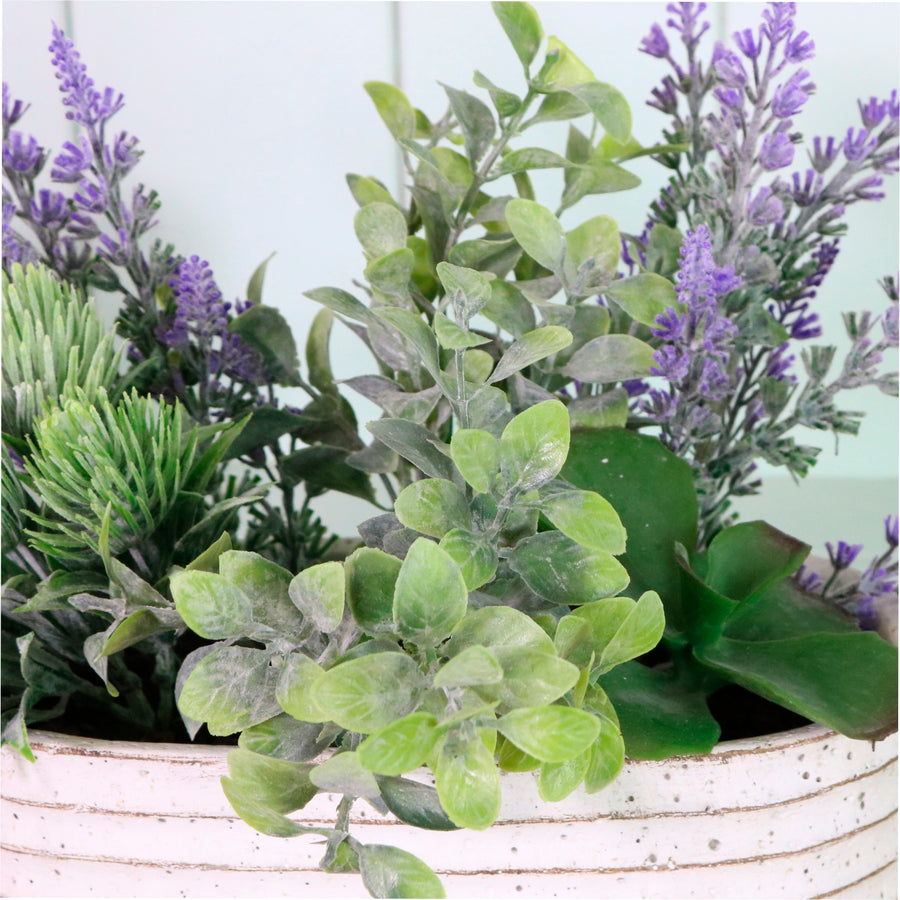 Tropic Thistle & Hedge Arrangement