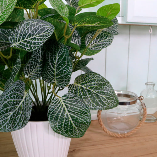 Medium Potted Soft Vein Leaf Arrangement