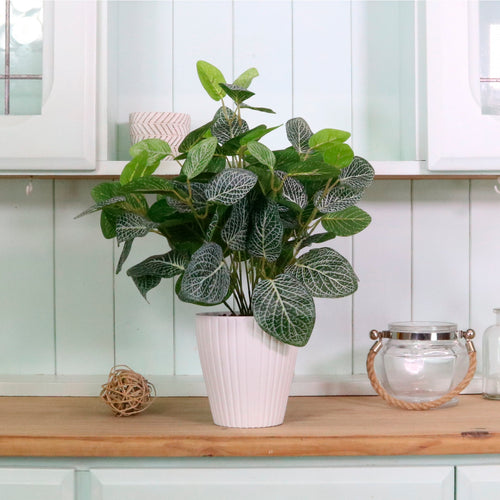 Medium Potted Soft Vein Leaf Arrangement