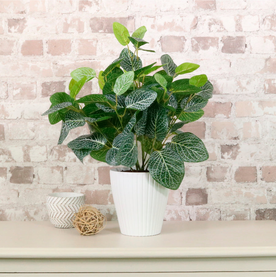 Medium Potted Soft Vein Leaf Arrangement