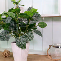 Medium Potted Soft Vein Leaf Arrangement