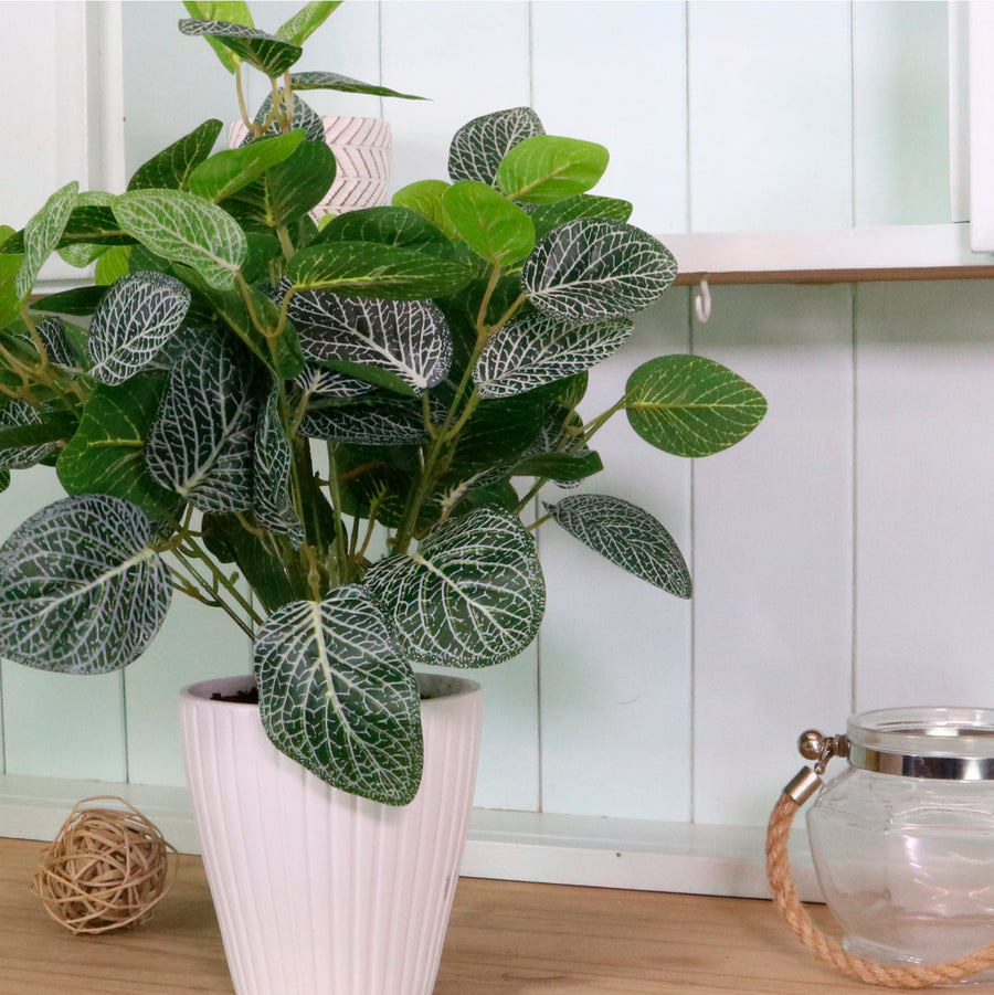 Medium Potted Soft Vein Leaf Arrangement
