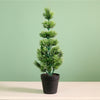 Potted Mini Tipped Tree (42cm)