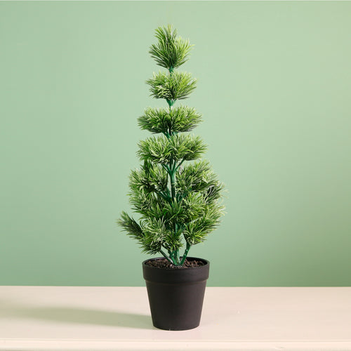 Potted Mini Tipped Tree (42cm)