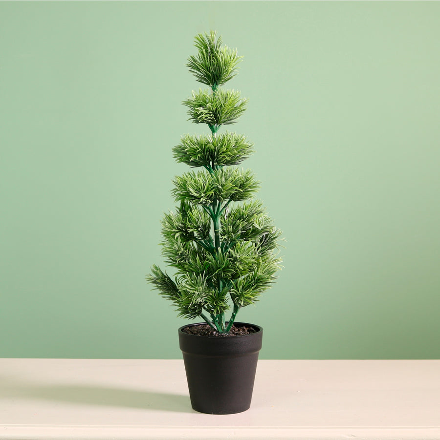 Potted Mini Tipped Tree (42cm)