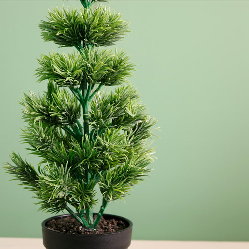 Potted Mini Tipped Tree (42cm)