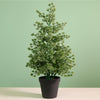 Potted Mini Spikey Tree (47cm)