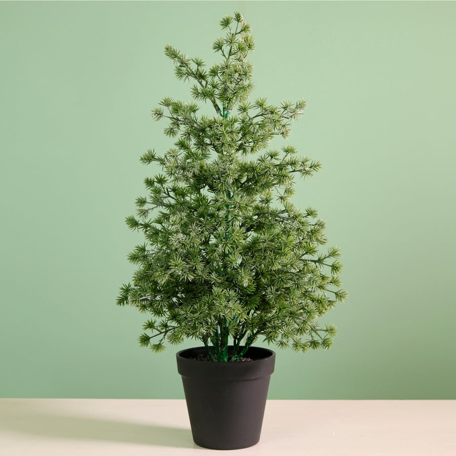 Potted Mini Spikey Tree (47cm)