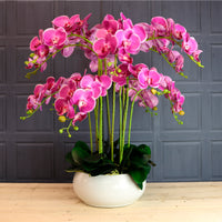 Lavish Faux Orchid Arrangement No:2 Mauveline