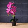 Deluxe Faux Orchid Arrangement Style 4