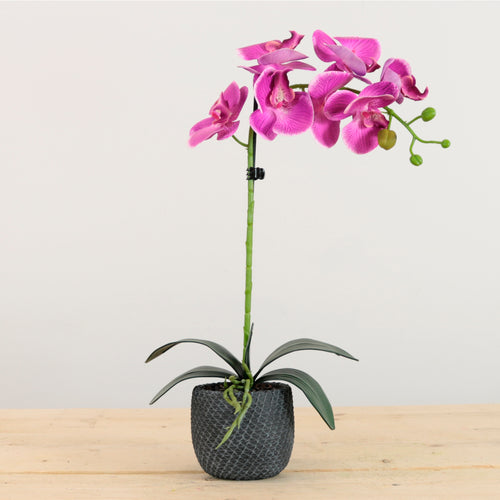 Elegant Faux Single Orchid Arrangement