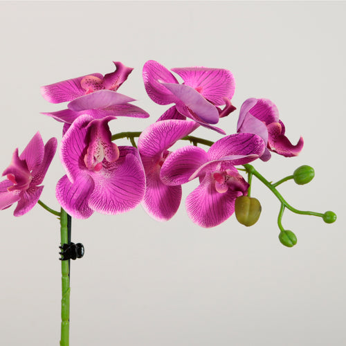 Elegant Faux Single Orchid Arrangement
