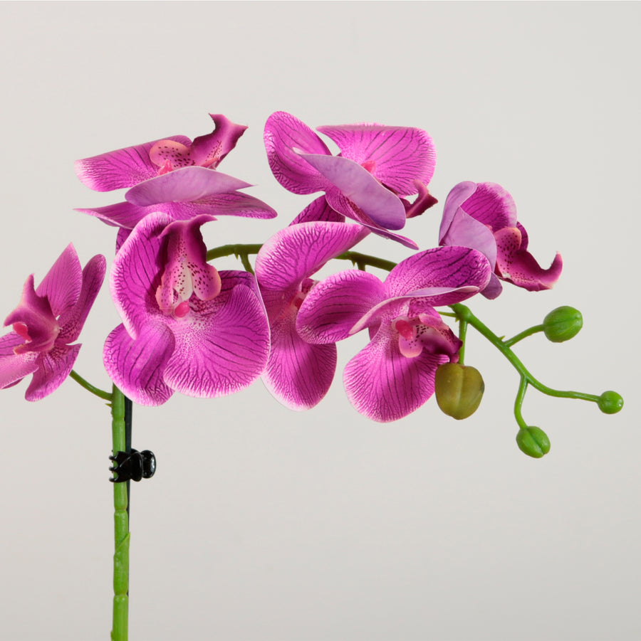 Elegant Faux Single Orchid Arrangement