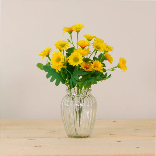 Mia Daisy In Bud Vase Arrangement