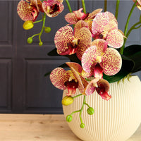 Lavish Faux Orchid Arrangement No:5 Leopard