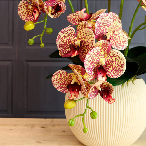 Lavish Faux Orchid Arrangement No:5 Leopard