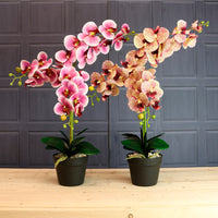 Deluxe Faux Orchid Arrangement No:1