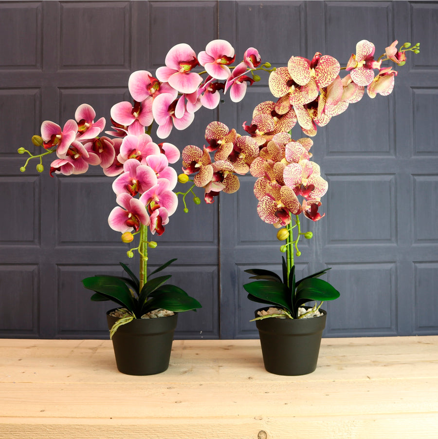 Deluxe Faux Orchid Arrangement No:1