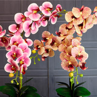 Deluxe Faux Orchid Arrangement No:1