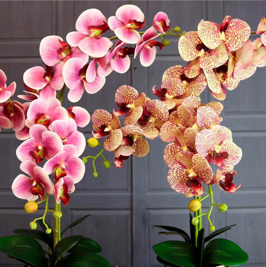 Deluxe Faux Orchid Arrangement No:1