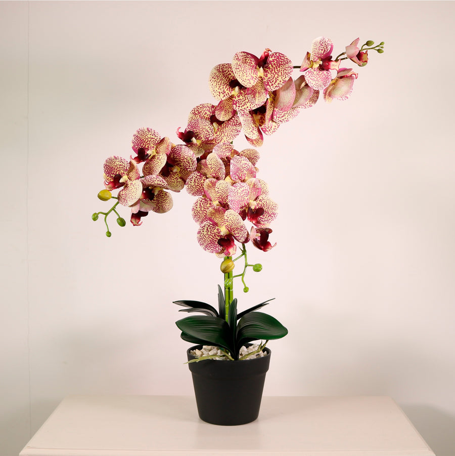 Deluxe Faux Orchid Arrangement No:1