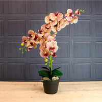 Deluxe Faux Orchid Arrangement No:1