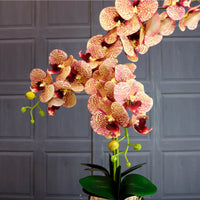 Deluxe Faux Orchid Arrangement No:1