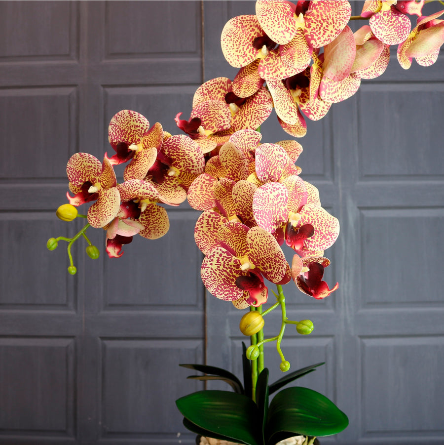 Deluxe Faux Orchid Arrangement No:1