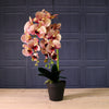 Deluxe Faux Orchid Arrangement Style 4