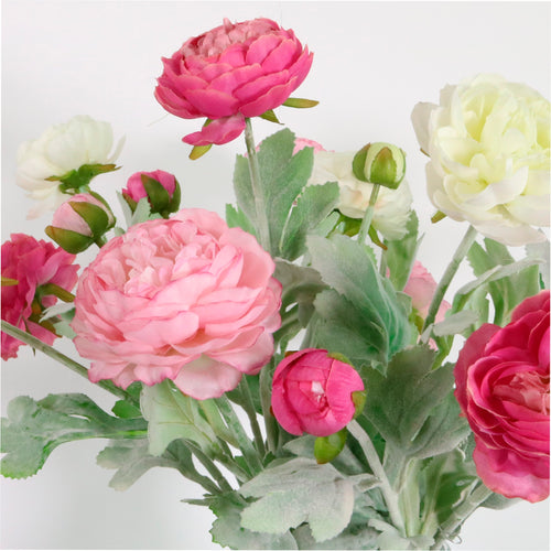 Ranuncula in Darcy Vase